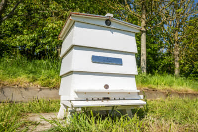 新たにヘンリー・ロイスの名が刻まれた養蜂箱