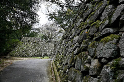 洲本城の石垣